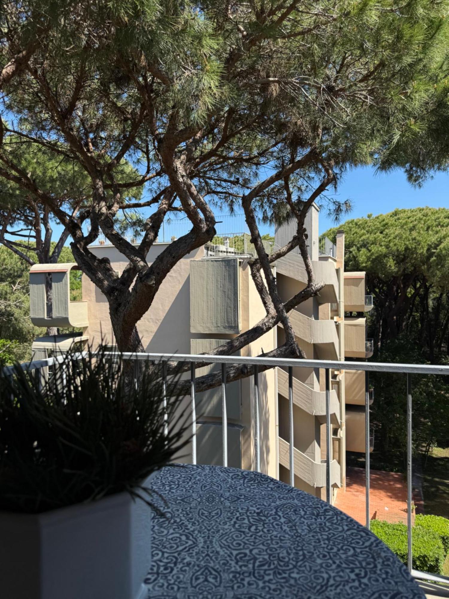 Apartamento La Terrazza Del Pino Torre del Lago Puccini Exterior foto